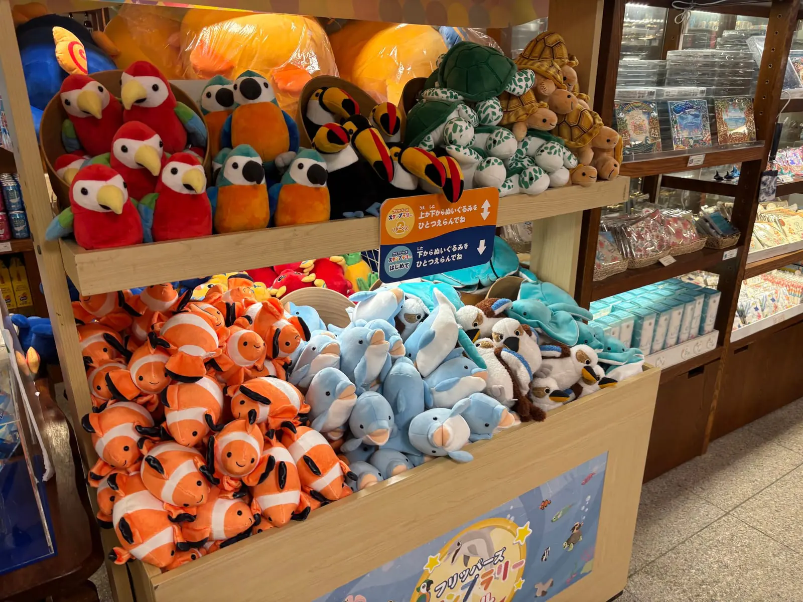 館内の売店に並ぶ海の生き物のぬいぐるみ。クマノミやジンベエザメなどが箱に入っている