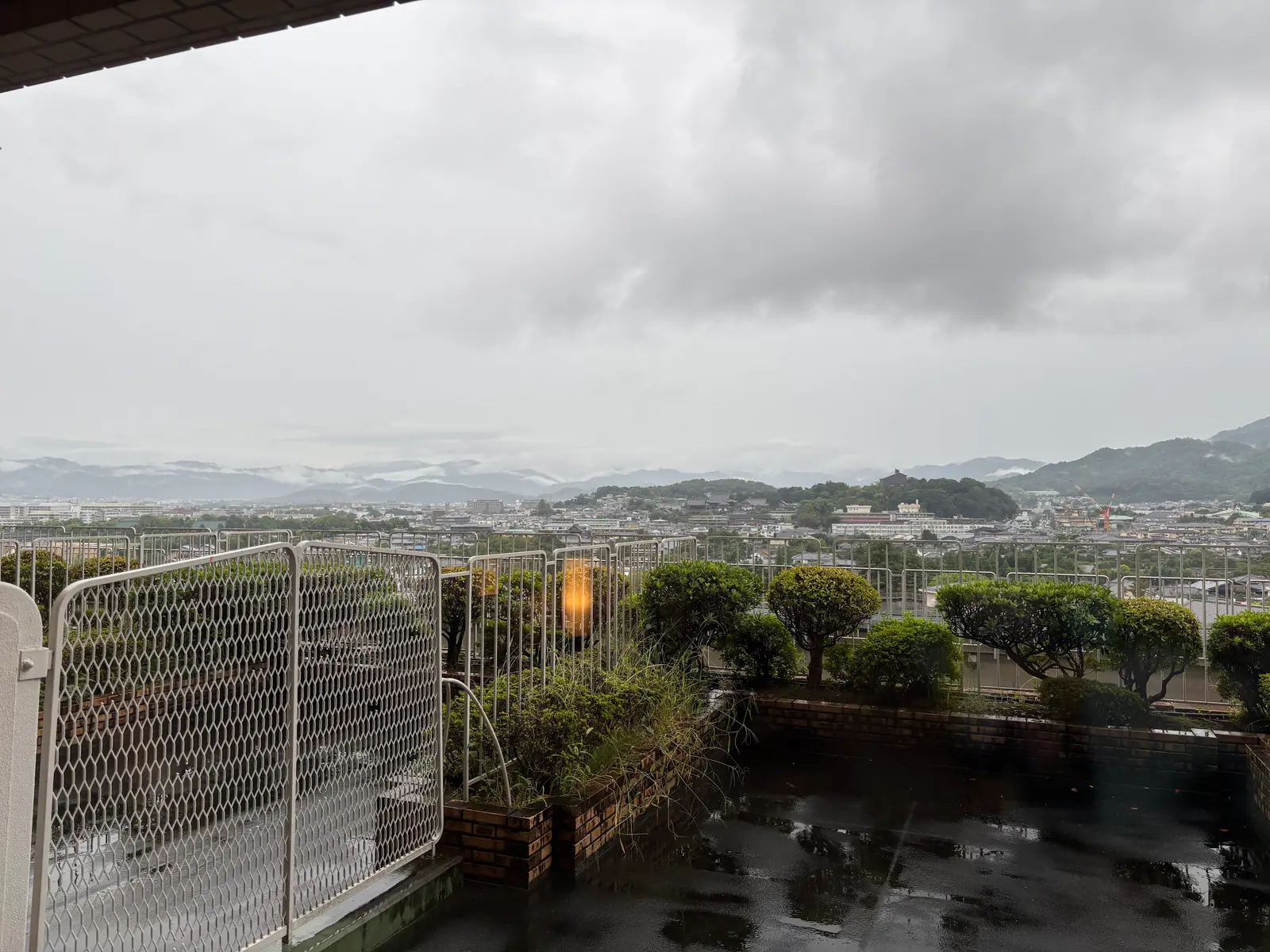 雨のバルコニーから見た京都の街並み。濡れた床と植栽の向こうに、雲の低くかかった山並みが見える